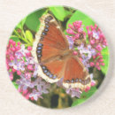 Recherche de point de papillon Fleurs