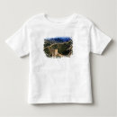 Recherche de grande muraille tshirts Paysage