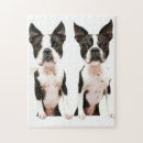 Recherche de boston terrier puzzles Drôle