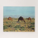 Recherche de camel puzzles Afrique