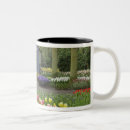 Recherche de jacinthe tasses Jardin
