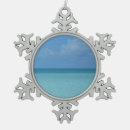 Recherche de turquoise ornements Océan