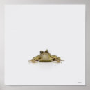 Recherche de reptiles posters Carré