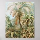 Recherche de scientifique posters Ernst haeckel