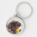 Recherche de labrador porteclés Cute