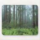 Recherche de arbres forestiers tapis souris Vert