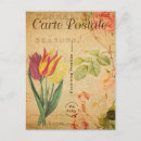 Recherche de fleurs de tulipe cartes postales Vintage