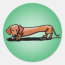Recherche de weiner dog autocollants Chien