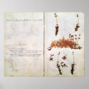 Recherche de herbier posters Rousseau