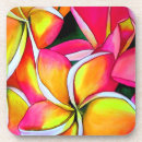 Recherche de plumerias dessous de verres Frangipani