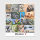 Recherche de ours abstrait autocollants Pour tous