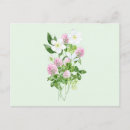 Recherche de composition florale cartes postales Blanc