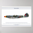 Recherche de spitfire posters Fighter
