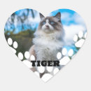 Recherche de chats cœur autocollants Pour amateur de chats