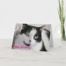 Recherche de blanc chat anniversaire cartes Amoureux des chats