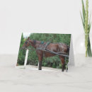 Recherche de cheval harnais vœux cartes Équin