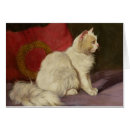 Recherche de chat persan blanc Arthur
