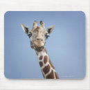Recherche de tête girafe tapis souris Faune