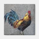 Recherche de poulet coq magnets Oiseau