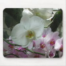 Recherche de orchidée blanche tapis souris Nature