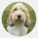 Recherche de bassets autocollants Pbgv