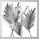 Recherche de neutre posters Botanique