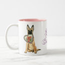 Recherche de malinois tasses Chien