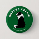 Recherche de border collie badges Chien