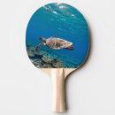 Recherche de tortues raquettes ping pong Océan