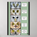 Recherche de de hibou posters Amoureux des oiseaux