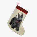 Recherche de écossais chaussette de noël Chien