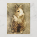 Recherche de lapin vintage cartes postales Animal