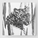 Recherche de animaux jungle horloges Faune