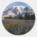 Recherche de fleur alpine autocollants Paysage