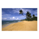 Recherche de plage porto rico posters Tropical
