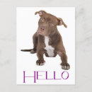 Recherche de chiot pitbull vœux cartes Chiots