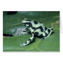 Recherche de poison dart frog cartes postales Brillant