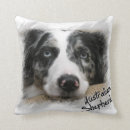 Recherche de merle coussins Berger