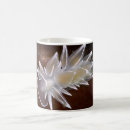 Recherche de colombe classiques tasses Britannique