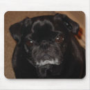 Recherche de rides tapis souris Chien