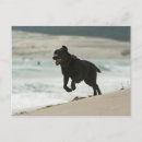 Recherche de tarifa cartes postales Horizontal