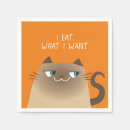 Recherche de siamois moderne Chaton