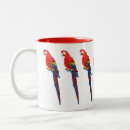 Recherche de perroquets tasses Toute personne