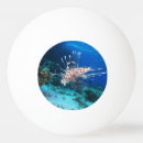 Recherche de poissons de lion Vie marine