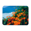 Recherche de coquelicot magnets Amérique