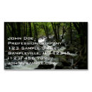 Recherche de ruisseau cartes visite Arbres