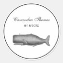 Recherche de mammifère marin autocollants Océan