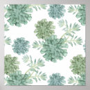 Recherche de cactus plant posters Succulent