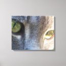 Recherche de visage impressions sur toile Chat