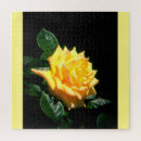 Recherche de grandpa puzzles Famille